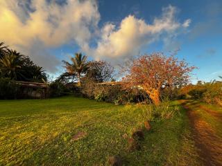 Cabaña Koromaki Rapanui - Hanga Roa - 2