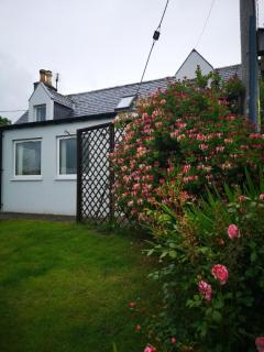Mike's 3-bedroom Countryside Cottage - Alness - 6