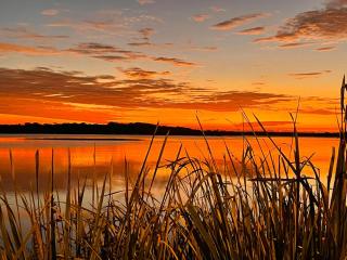 Minti 19 2 bedroom home by the River - Maroochydore - 6