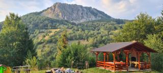 Cabana Belvedere Dragoslavele - Dragoslavele - 9