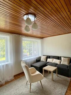Cozy Apartment in Saulkrasti - Saulkrasti - 7