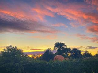 L'étoile de Baynes - 0