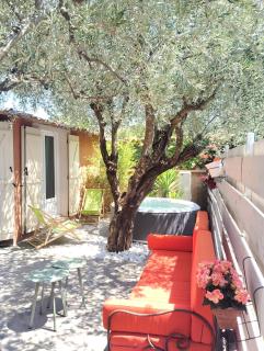 Magnifique Villa aux Oliviers trentenaires - Mougins - 0