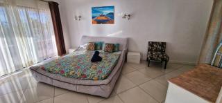 Relax in this Oceanside Apartment - F6 - 3