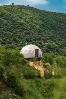 Teela- The Glamping Resort, Jaipur - 9