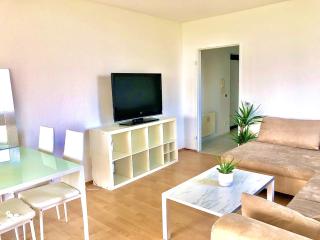 Schönes 1 Zimmer Apartment - Wiesbaden - 7