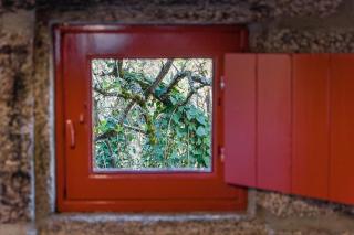 GuestReady - Quintinha casas do jardim 2 - 8