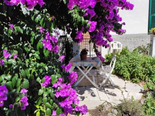 Casa elegante in mezzo al verde - 9