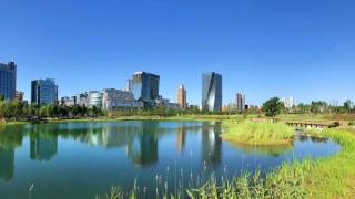 InterContinental Century City Chengdu - Chengdu - 1