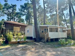 La cabane des pins - Lège-Cap-Ferret - 0