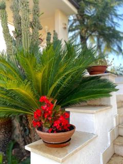 Serè Apartments & Garden - Sannicandro di Bari - 8