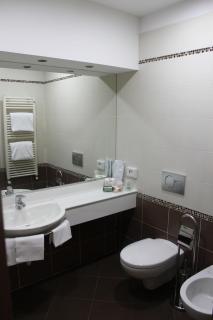 Hotel Continental - Torino - 9