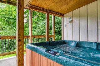 Gatlinburg Eagle View 2 #820 - 8