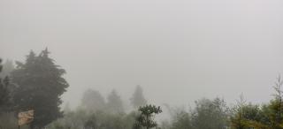 Kyrentara's by the Hills, Bhimtal - Bhīm Tāl - 1
