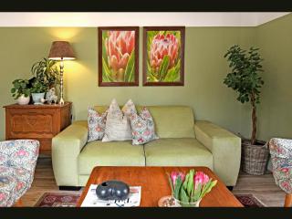 Petit & Grande Plaisir luxury self-catering - Franschhoek - 6
