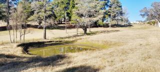 Country Cottage in Town - Queanbeyan - 6