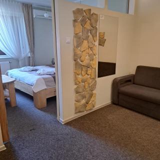 SPA Apartment Parkowy - Chojnice - 5