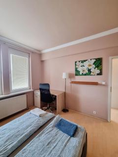 Big 4 room huge apartment - Bratislava - 3