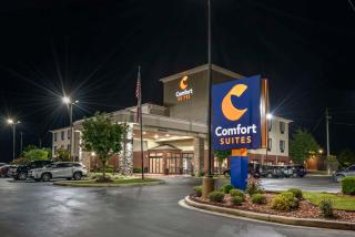 Comfort Suites Pell City I-20 exit 158 - Pell City - 5