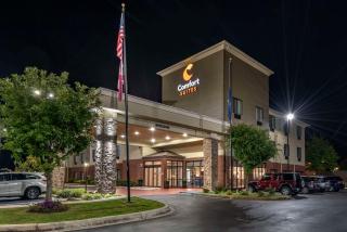 Comfort Suites Pell City I-20 exit 158 - Pell City - 3