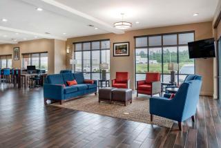 Comfort Suites Pell City I-20 exit 158 - Pell City - 1