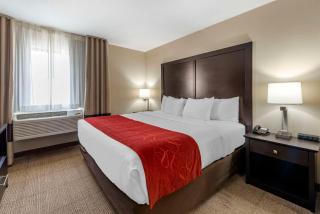 Comfort Suites Highlands Ranch Denver Tech Center Area - Highlands Ranch - 8
