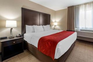 Comfort Suites Highlands Ranch Denver Tech Center Area - Highlands Ranch - 7