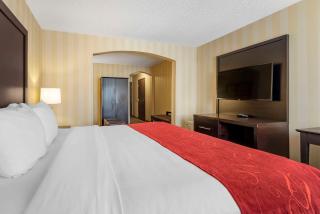 Comfort Suites Highlands Ranch Denver Tech Center Area - Highlands Ranch - 2