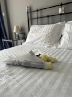 WINDSOR PLACE - Large Private Apartment, Sleeps Up To 7 - 0