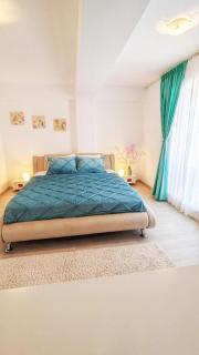 Airport Apartment 70 squared meters - Otopeni - 9