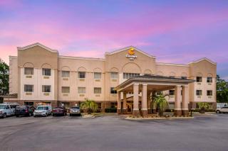 Comfort Inn Summerville - Charleston - Summerville - 7