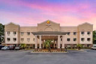 Comfort Inn Summerville - Charleston - Summerville - 9