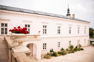 GOYA Vitality Hotel - Voderady - 8