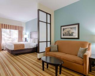 Comfort Suites Topeka Northwest - Topeka - 2