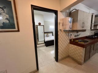 Beautiful terrace Flat - Gurgaon - 5