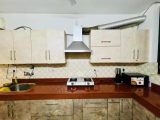 Beautiful terrace Flat - Gurgaon - 2