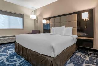 Comfort Inn & Suites Liverpool - Syracuse - Liverpool - 7