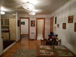 National Assembly Center of Belgrade 80m2 1b1b w garage and terrace - Belgrade - 0
