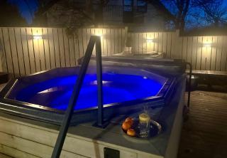 Luxurious House with hot & cold tub - Reikiavik - 2
