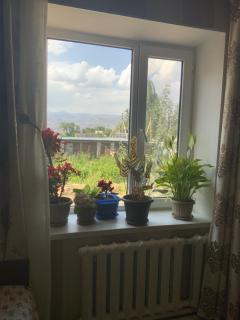 Gulnara guesthouse - 2