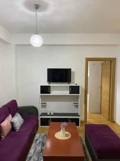 Silvi Apartments-Aerodrom, Skopje - Skopje - 9