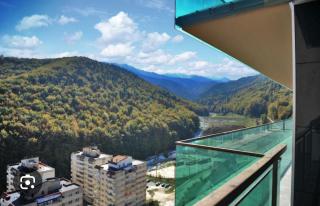 Comfort Apartment Tampa - Brasov - Brasov - 9