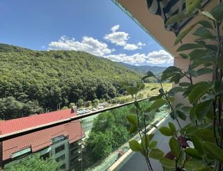 Comfort Apartment Tampa - Brasov - Brasov - 2