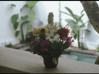 Marou Villa - Canggu - 1