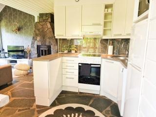 Villa Alppihimos - 6 henkilölle, Keski-Himos, 45m² + 33m² - 3