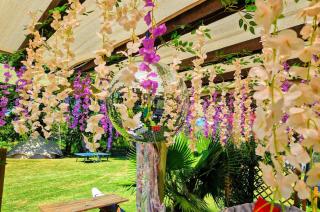 Camping d'Artagnan - 7