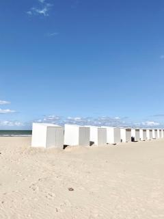 Julia's Surf Shack - 4