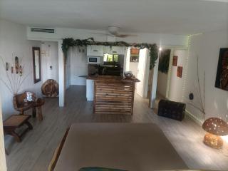 Studio avec jardin et piscine - Saint-François - 1