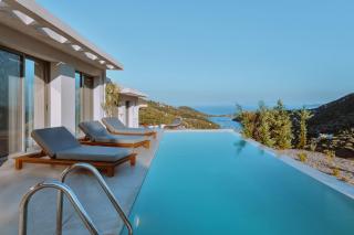 Luxury Villas Theros with private pools - Sivota - 5