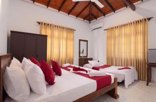 Tranquil Escape Hikkaduwa - 4